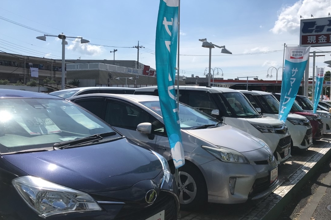 サマーフェア